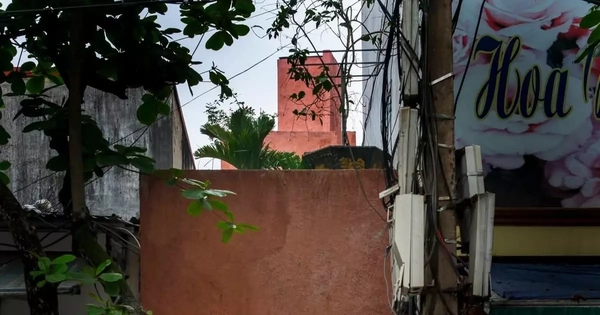 Ngôi nhà ẩn trong ngõ cho gia chủ đắm mình giữa thiên nhiên