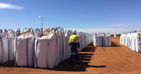 Trung Quốc, Nga đua nhau đưa một mặt hàng vào Việt Nam: Nước ta chi hơn 2 tỷ USD mua hàng, được mệnh danh ‘cứu tinh’ của nông sản