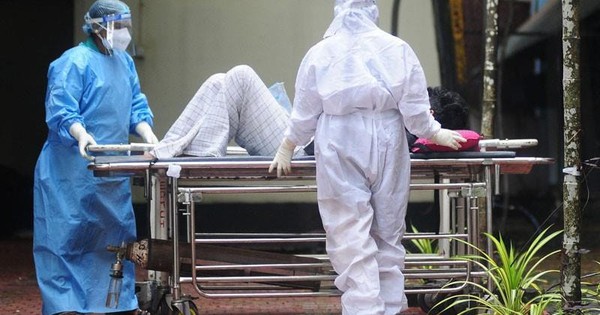 Virus Nipah gây bệnh gì?