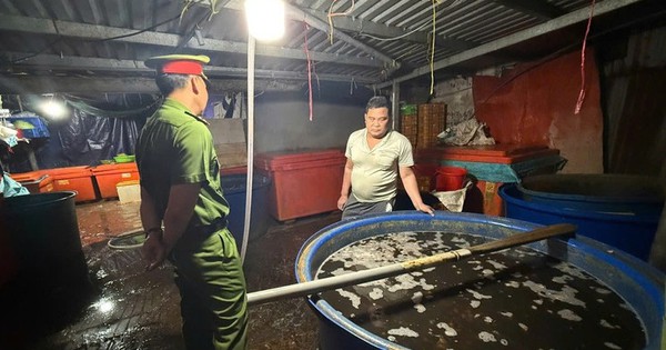 Rùng mình lời khai của chủ vựa ngâm 3.000 tấn thịt ốc bằng hóa chất công nghiệp