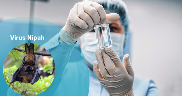 Trung Quốc phát hiện thuốc phòng chống virus Nipah hiệu quả