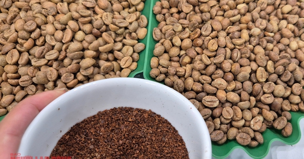 Giá cà phê hôm nay 28-1: Tăng nóng
