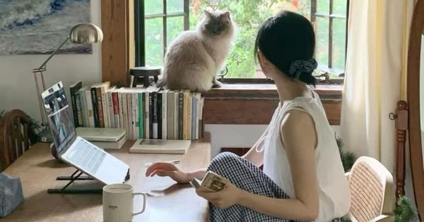 Vừa mua căn hộ tầng 26, tôi hối hận và bán gấp để xuống tầng 5: Bài học đắt giá không có trong quảng cáo