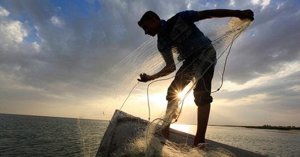 Chuyên gia chứng khoán: Dòng tiền vẫn luân chuyển tích cực, không thiếu cơ hội tìm kiếm lợi nhuận cho nhà đầu tư