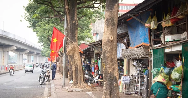 Xóa 98 'điểm nóng' chợ cóc, xử phạt qua camera