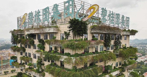 Loạt cổ phiếu BĐS tăng mạnh sau 'tin đồn' Trung Quốc dỡ “ba lằn ranh đỏ’