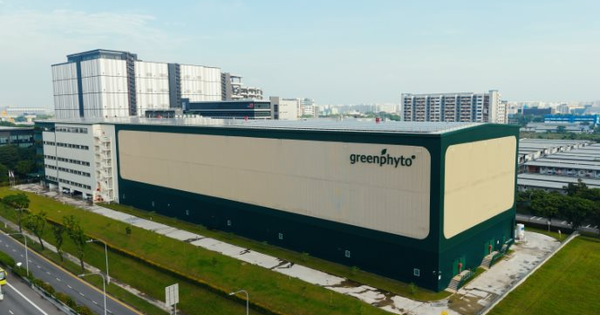 Không phải Trung Quốc hay Nhật Bản, một quốc gia châu Á làm trang trại trong nhà cao nhất thế giới: Có thể chứa 1,2 triệu cây rau, sản lượng 2.000 tấn mỗi năm