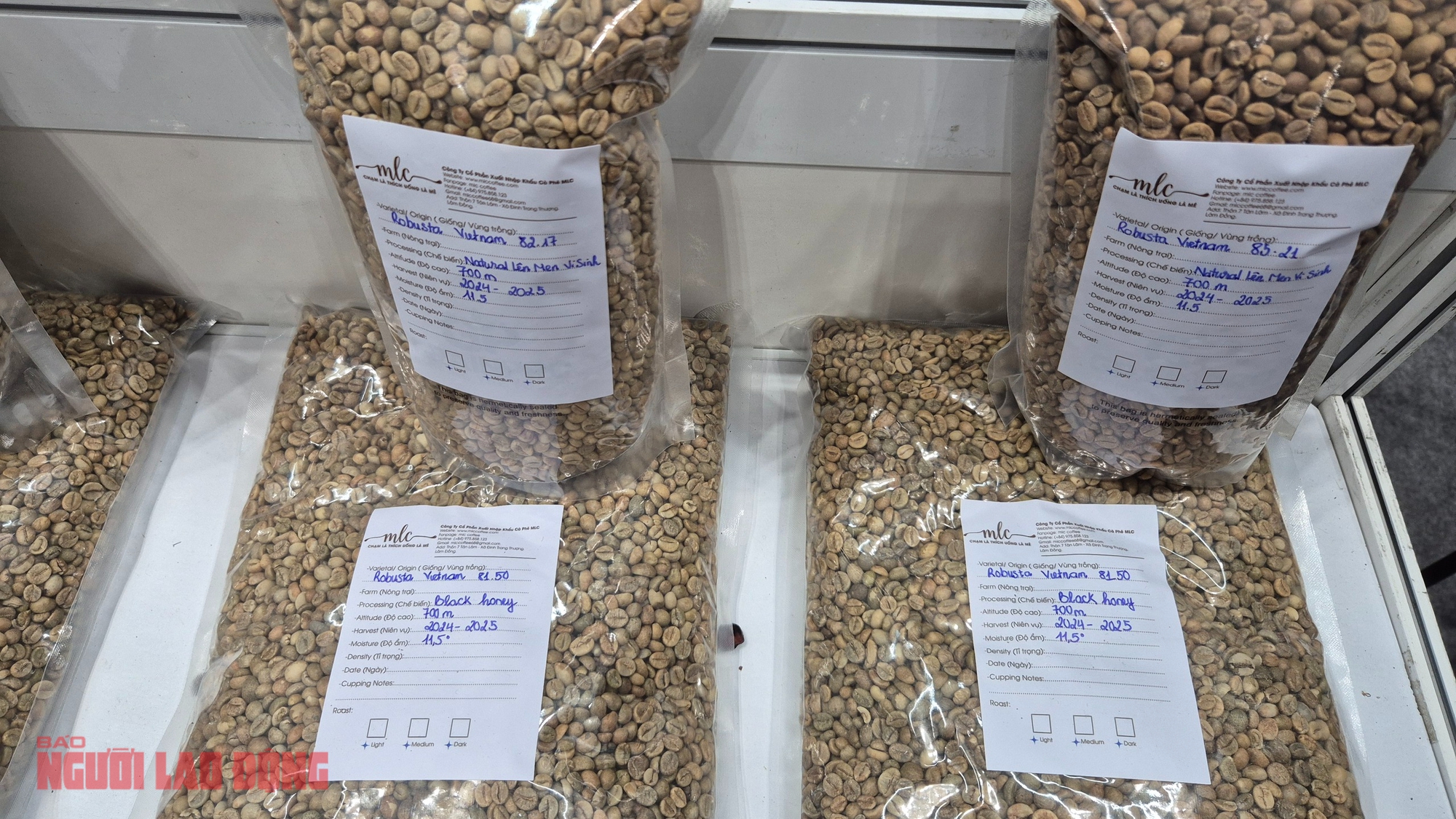 Giá cà phê hôm nay 2-1: Mốc 5.000 USD/tấn rất khó trở lại - Ảnh 1
