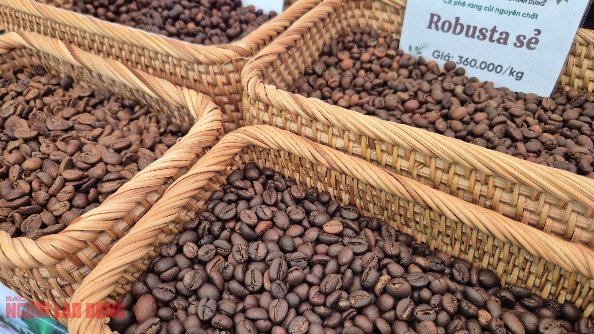 Giá cà phê hôm nay 7-1: Bật tăng, lấy lại mốc quan trọng - Ảnh 1