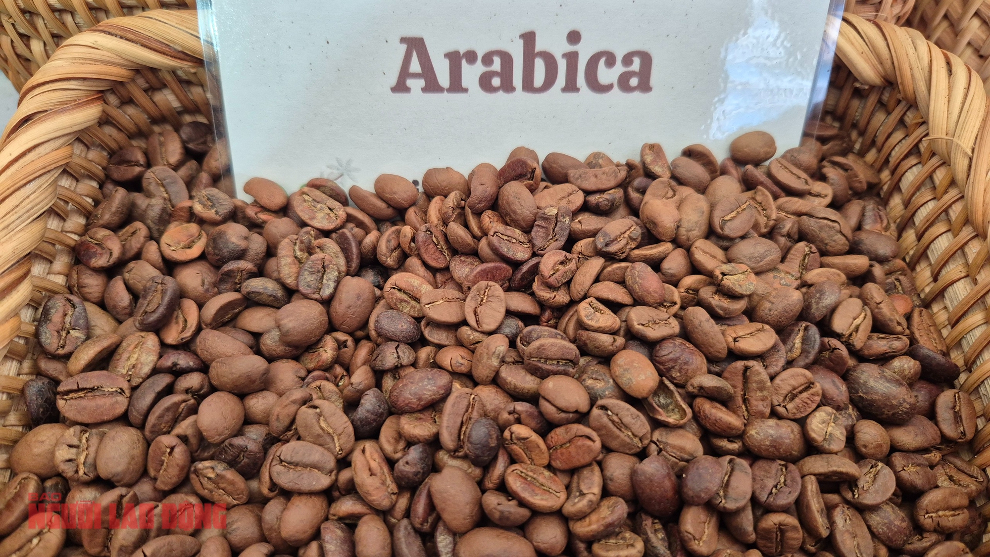 Giá cà phê hôm nay 10-1: Arabica lao dốc - Ảnh 1