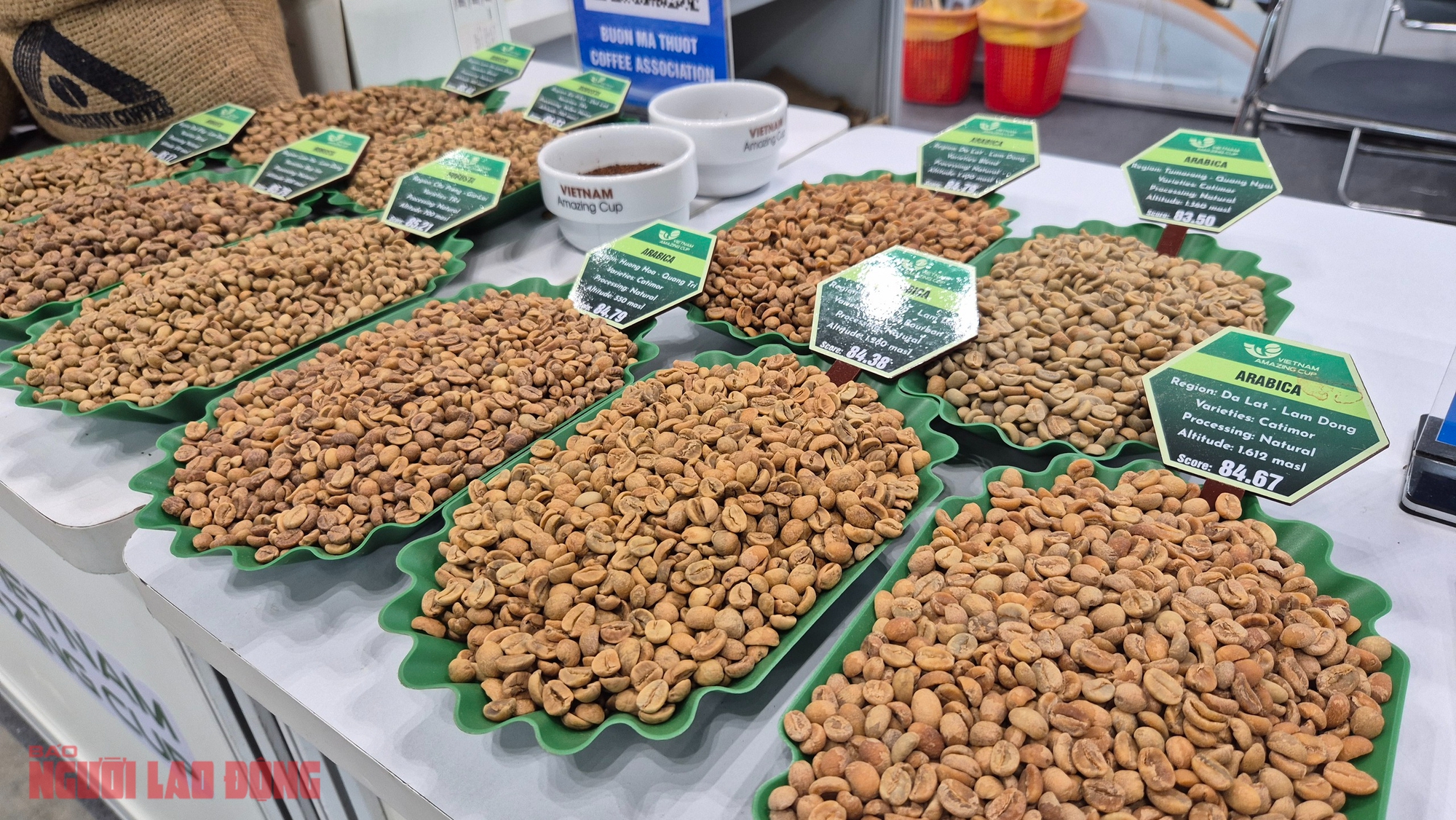 Giá cà phê hôm nay 18-1: Bầu Đức nói về giá cà phê hiện tại - Ảnh 1