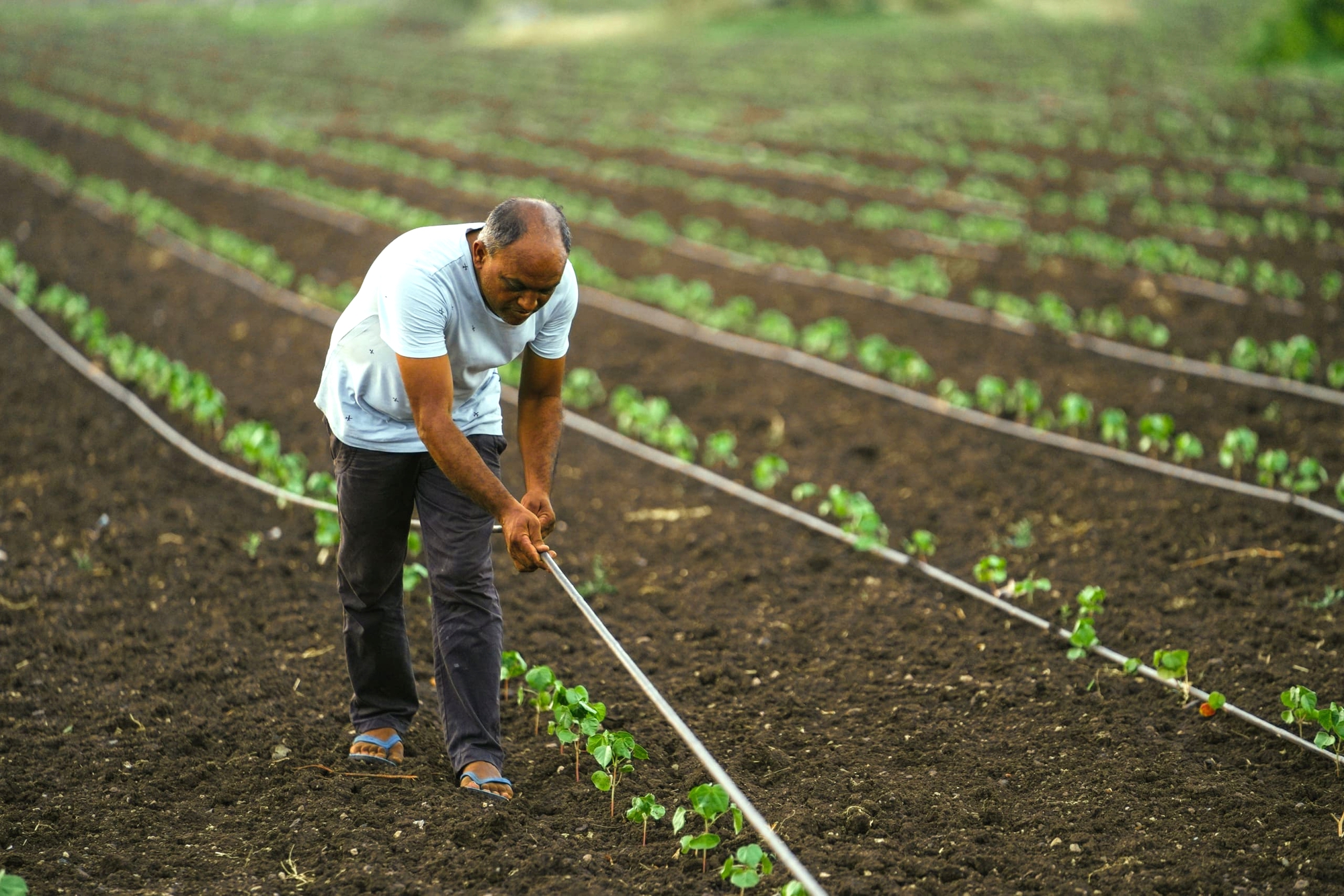"Phát minh thế kỷ" của Israel rung chuyển thế giới, làm bùng nổ thị trường gần 10 tỷ USD - Ảnh 1