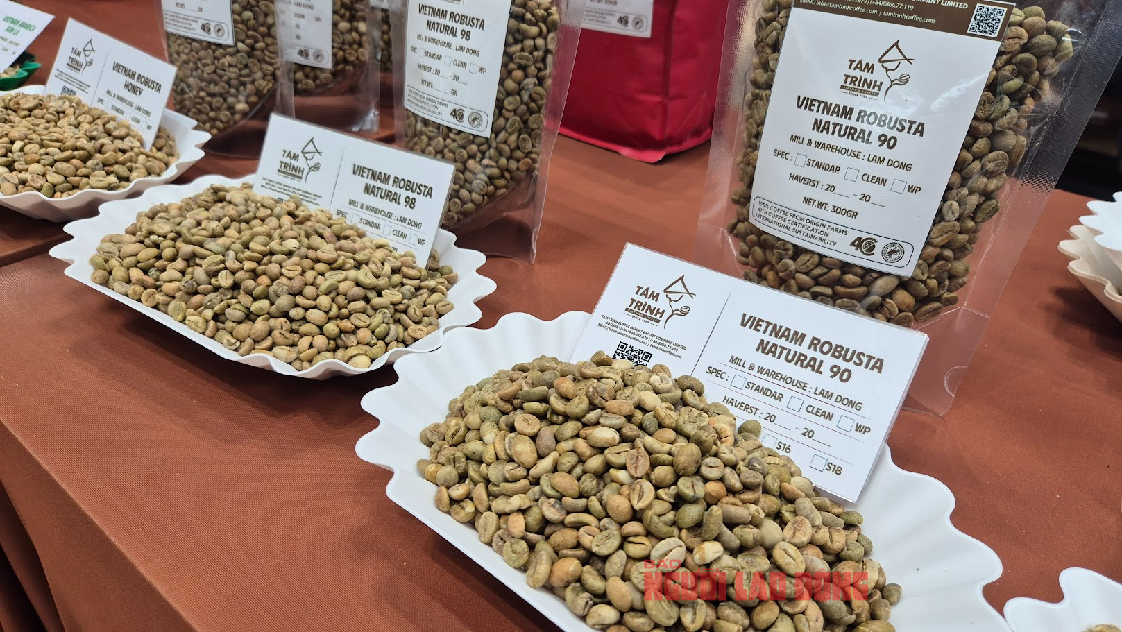 Giá cà phê hôm nay 24-1: Quay lại đà tăng 3 con số với Robusta - Ảnh 1