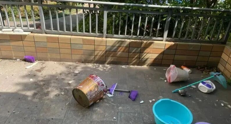 Bất chấp mọi lời khuyên, mua căn hộ tầng một có sân: Sáu tháng sau, chủ nhân phải bật khóc khi rao bán lại - Ảnh 4