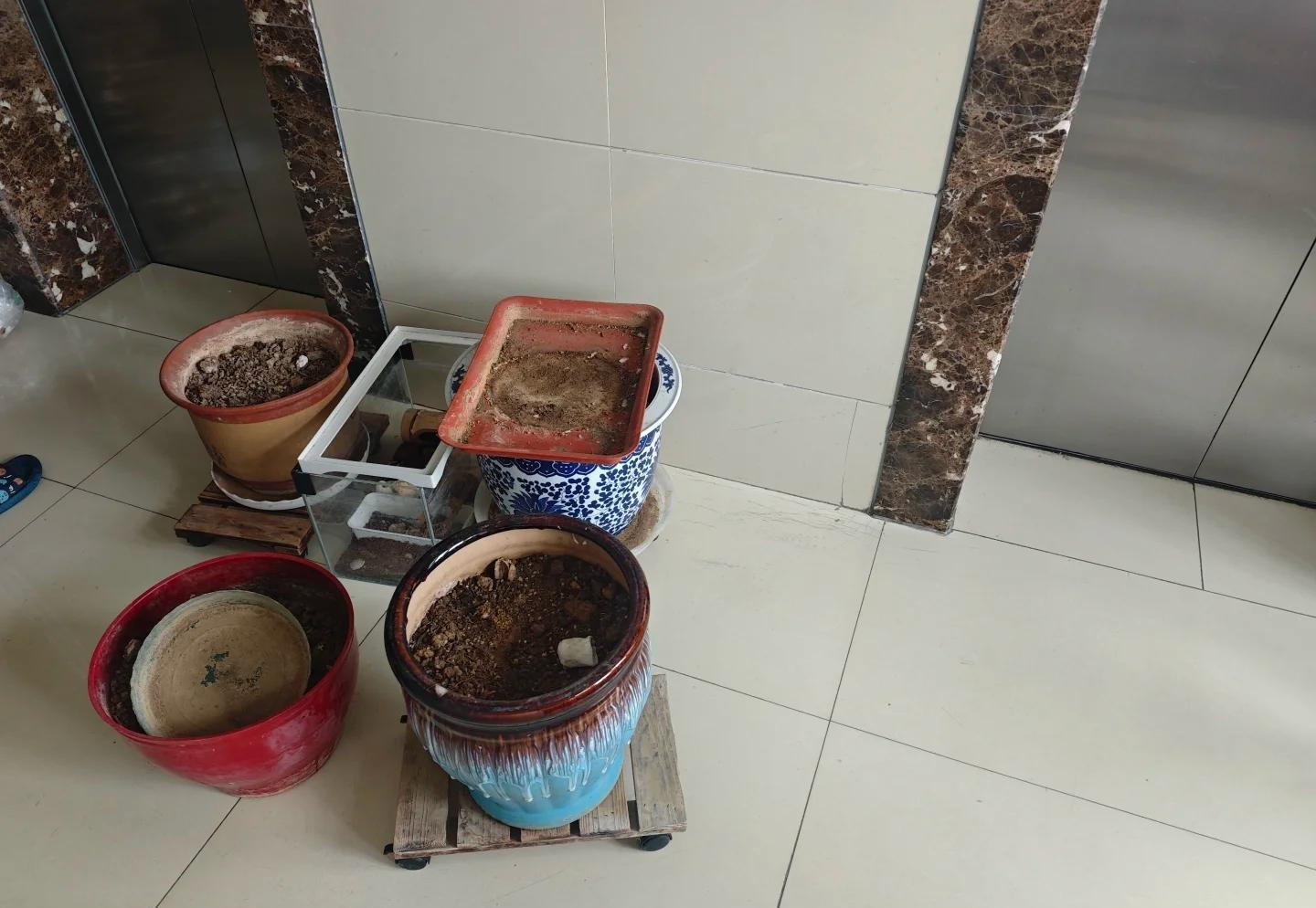 Trong nhà có 10 thứ "nặng vía", không tiễn đi trước Tết thì lận đận cả năm - Ảnh 3