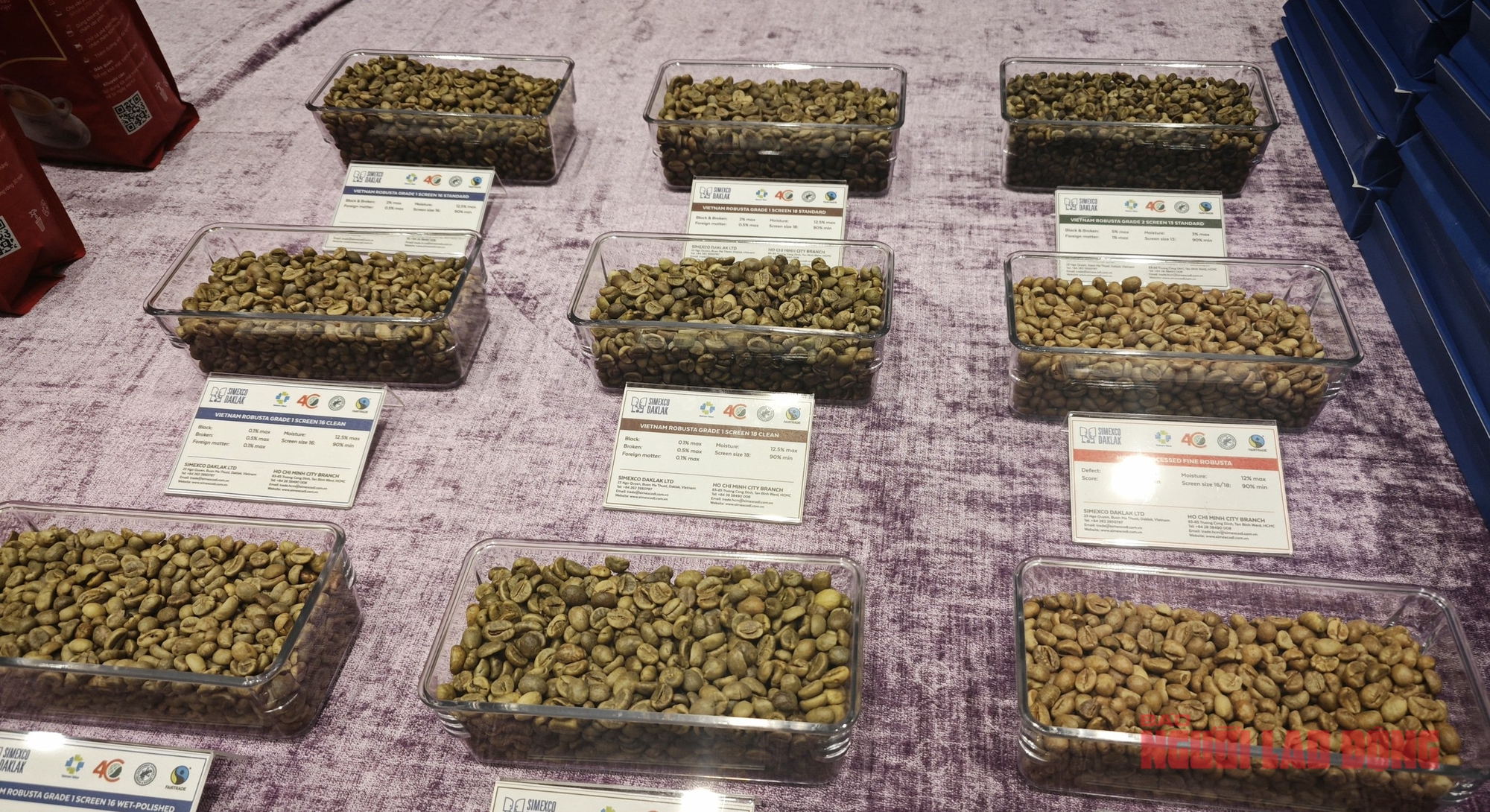 Giá cà phê hôm nay 31-1: Giảm đồng loạt, xuất khẩu khả quan - Ảnh 1