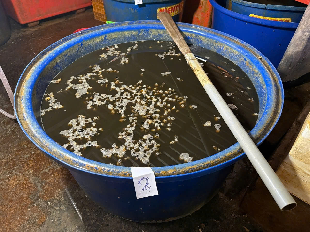 3 tấn thịt ốc bươu được ngâm tẩm hóa chất dùng trong xây dựng, sản xuất xi măng - đang chuẩn bị cung cấp ra thị trường thì bị cơ quan chức năng tóm gọn - Ảnh 2