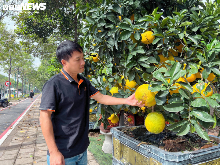 Bưởi Diễn 'đổ bộ' vào Nam sớm, giá tăng mạnh trước Tết - Ảnh 10