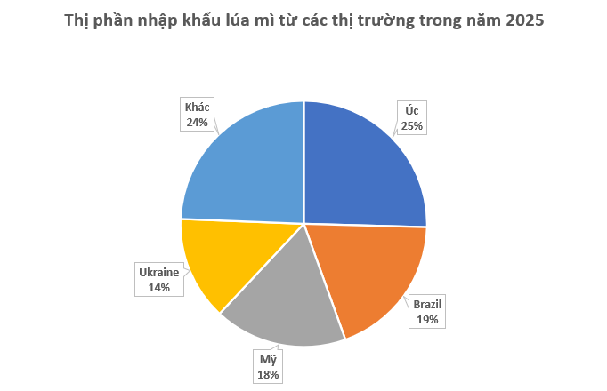 Hơn 700 nghìn tấn hàng từ Ukraine đổ bộ Việt Nam trong năm 2025, là mặt hàng nước ta gần như không trồng được - Ảnh 2