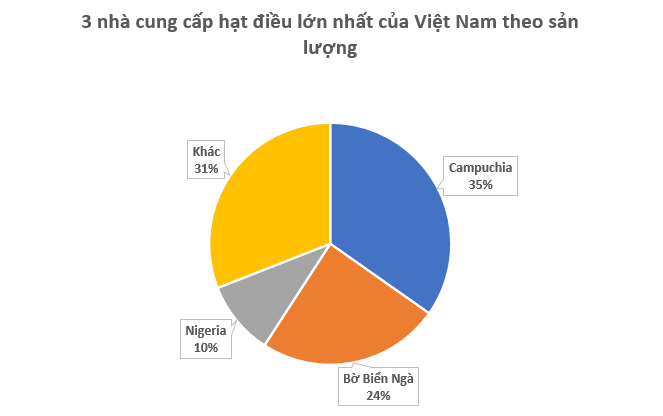 Hàng trăm nghìn tấn hàng từ châu Phi vừa đổ bộ Việt Nam: Nước ta chi hơn 4 tỷ USD mua hàng, là 'bảo bối' giúp Việt Nam xuất khẩu bằng cả thế giới cộng lại - Ảnh 2