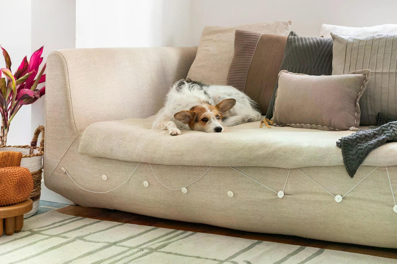 'Hồi sinh' căn hộ 70m2 ngập tràn ánh sáng - Ảnh 2