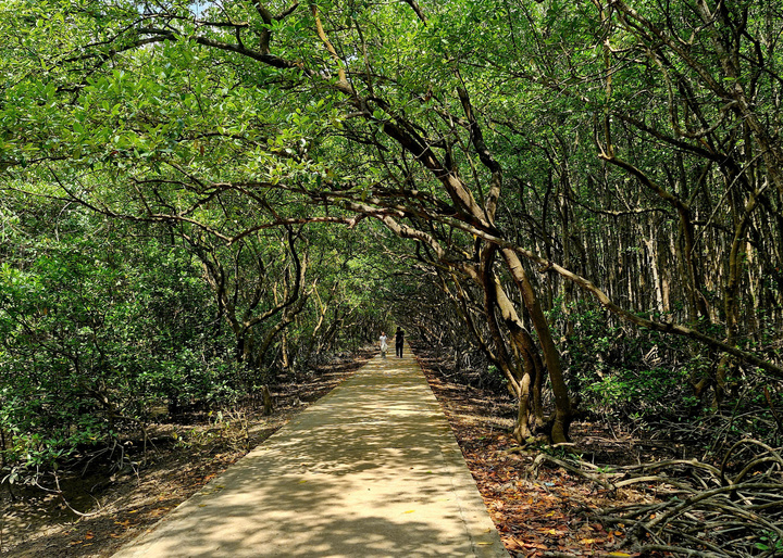 Bàn cách để Cần Giờ mỗi năm đón 40 triệu khách du lịch - Ảnh 4