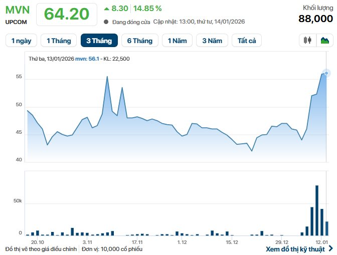 Cổ phiếu "gã khổng lồ" ngành logistics "tím lịm" sau khi đánh tiếng thoái vốn Nhà nước, vốn hóa chạm ngưỡng 3 tỷ USD - Ảnh 1