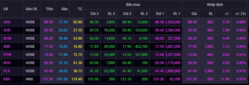 Cổ phiếu doanh nghiệp nhà nước PV GAS, BSR, Petrolimex, Becamex... đồng loạt "tím lịm", điều gì đang diễn ra? - Ảnh 1