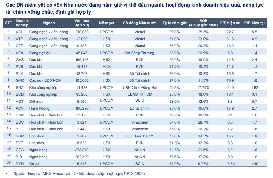 Cổ phiếu doanh nghiệp nhà nước PV GAS, BSR, Petrolimex, Becamex... đồng loạt "tím lịm", điều gì đang diễn ra? - Ảnh 2