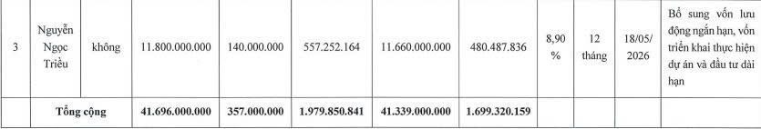 Chương Dương Corp dự kiến dùng vốn huy động từ chào bán cổ phiếu để làm gì? - Ảnh 2