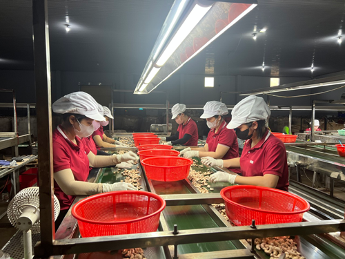 Tăng sức cạnh tranh cho doanh nghiệp Việt - Ảnh 1