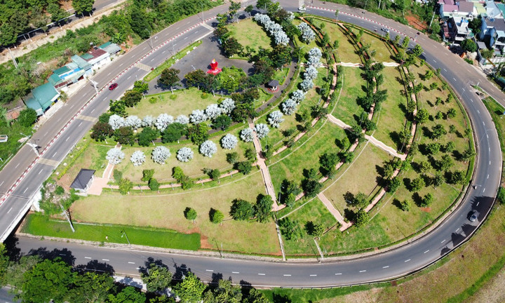 Đề nghị truy tố Chủ tịch HĐQT Công ty cây xanh Công Minh - Ảnh 1