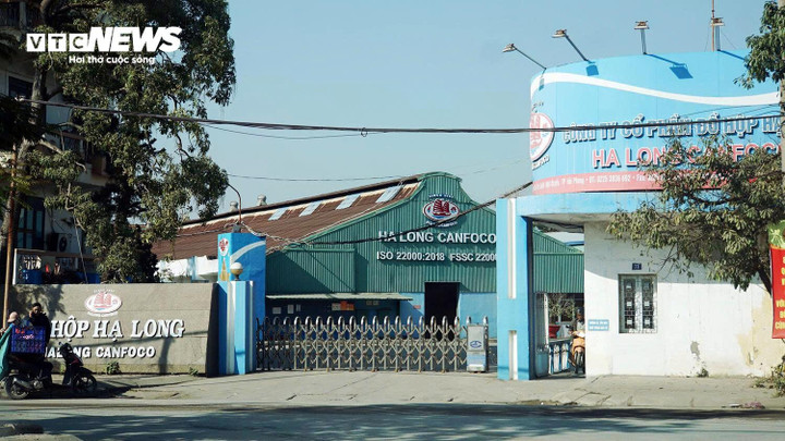 Công ty đồ hộp Hạ Long hoạt động thế nào, ai đang quản lý? - Ảnh 1