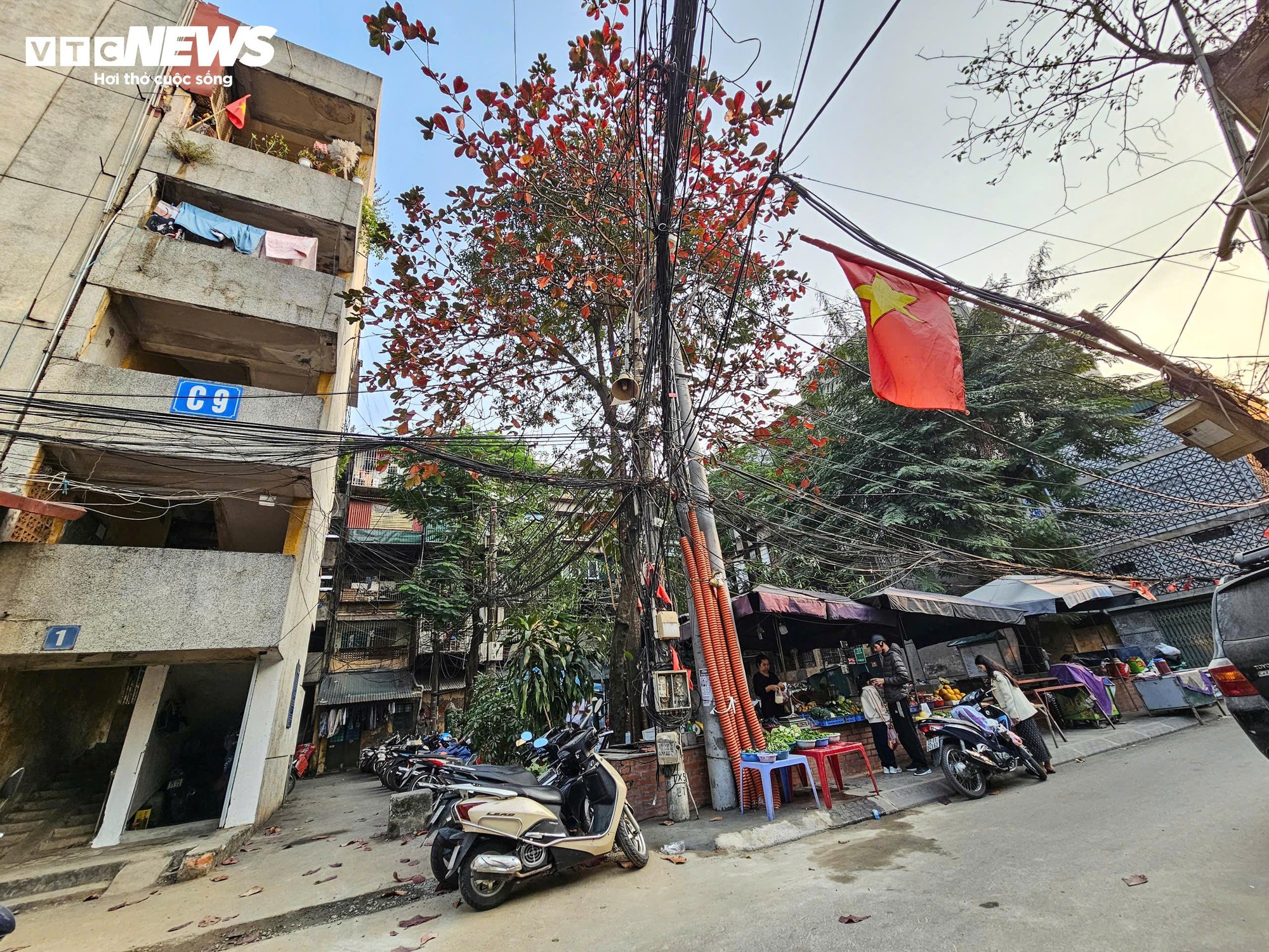 Chuyên gia: Dẹp chợ cóc ở Hà Nội không đồng nghĩa với mất sinh kế - Ảnh 4