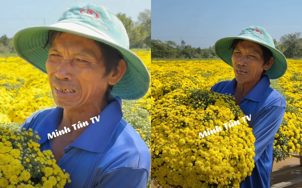 Đau xé lòng cảnh chủ vườn hoa Sa Đéc bật khóc nức nở khi hơn 2.000 chậu cúc vàng nở sớm không ai mua - Ảnh 1