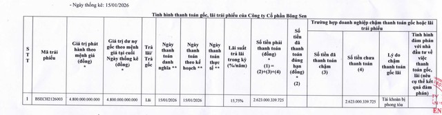 Doanh nghiệp liên quan đến bà Trương Mỹ Lan chậm thanh toán trái phiếu do tài khoản bị phong tỏa - Ảnh 1