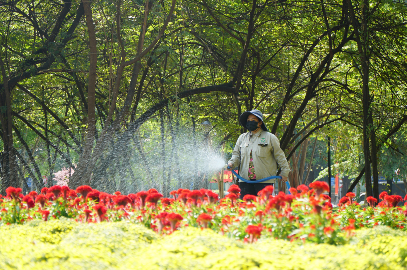'Đất vàng' bỏ hoang giữa trung tâm TPHCM thành công viên đông vui dịp Tết - Ảnh 11
