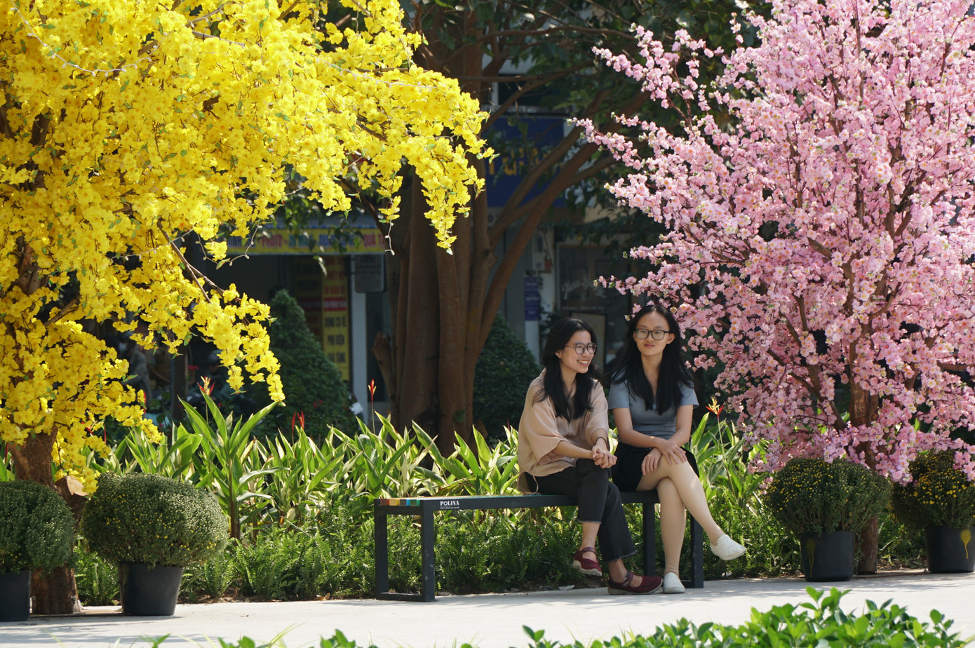 'Đất vàng' bỏ hoang giữa trung tâm TPHCM thành công viên đông vui dịp Tết - Ảnh 2