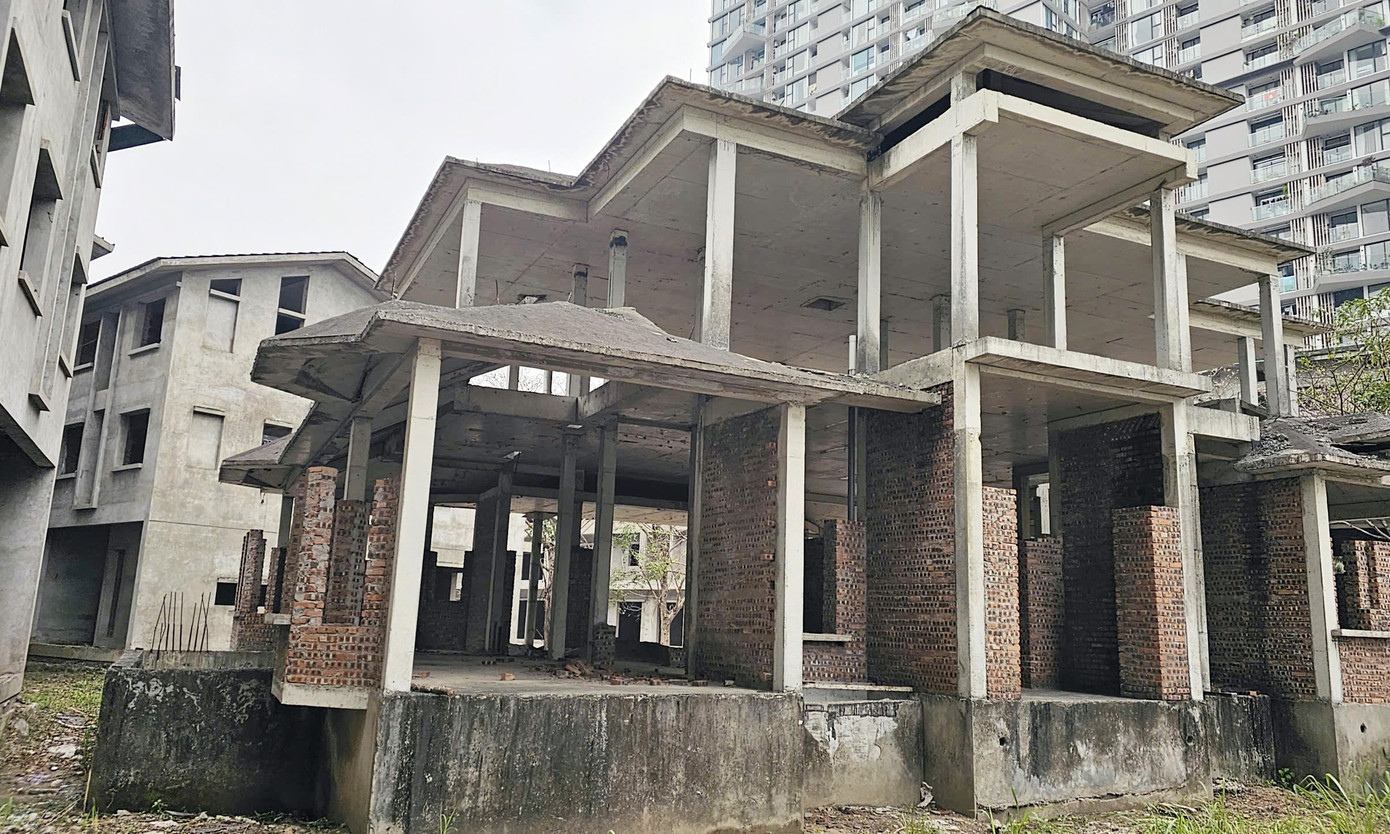 Cảnh bỏ hoang tại dự án biệt thự, liền kề từng ‘xây chui, bán sai’ - Ảnh 5