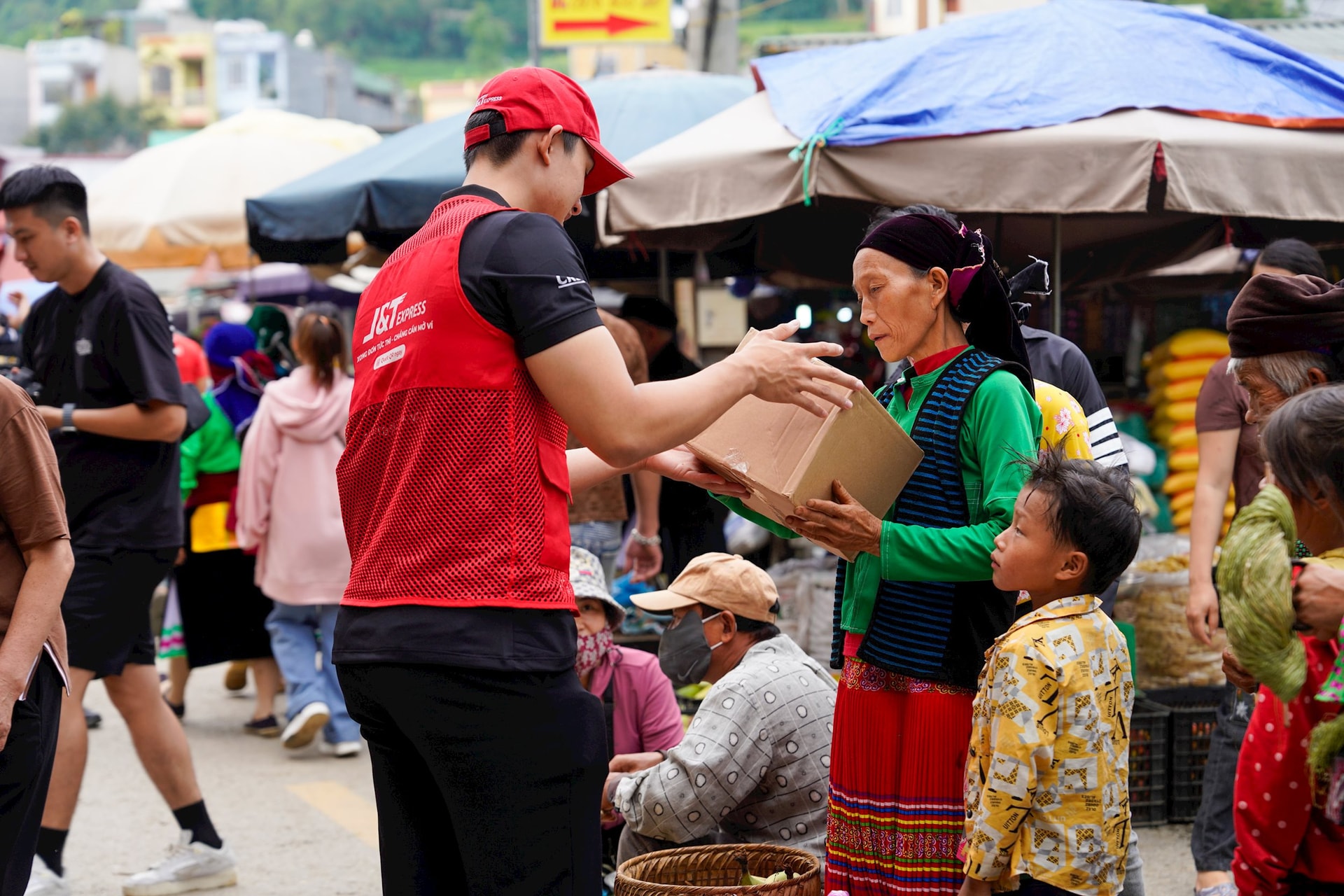 Hành trình thầm lặng phía sau mỗi tổ yến - Ảnh 3