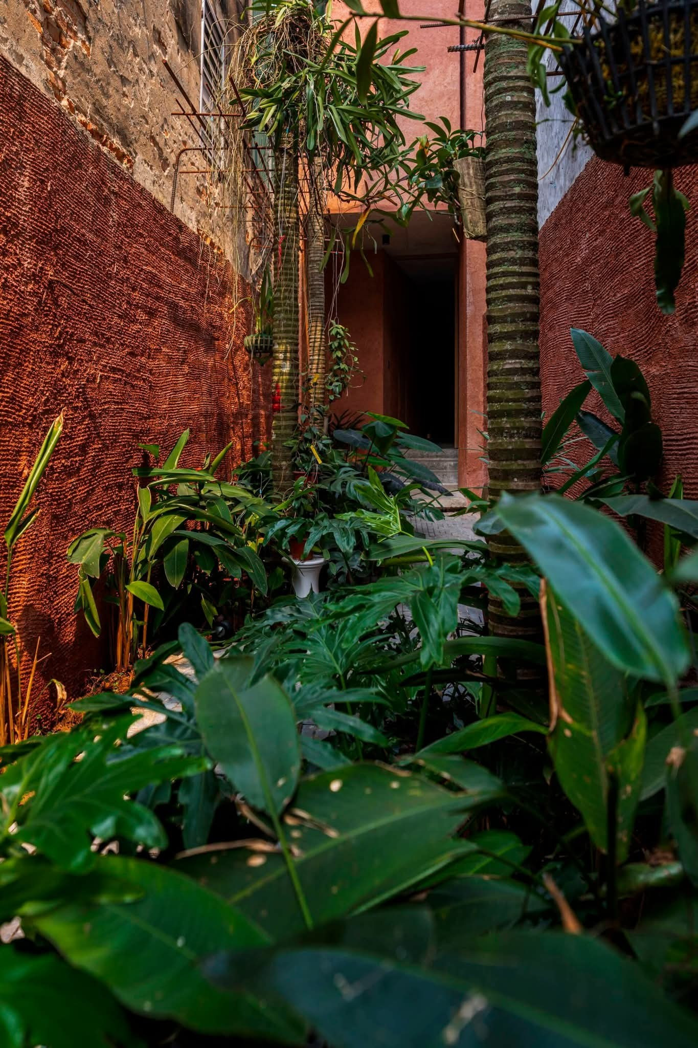 Ngôi nhà ẩn trong ngõ cho gia chủ đắm mình giữa thiên nhiên - Ảnh 2