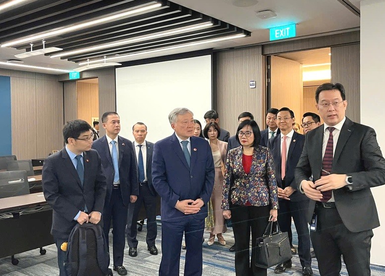 Gần 20 doanh nghiệp Singapore tề tựu, hiến kế cho Việt Nam - Ảnh 2