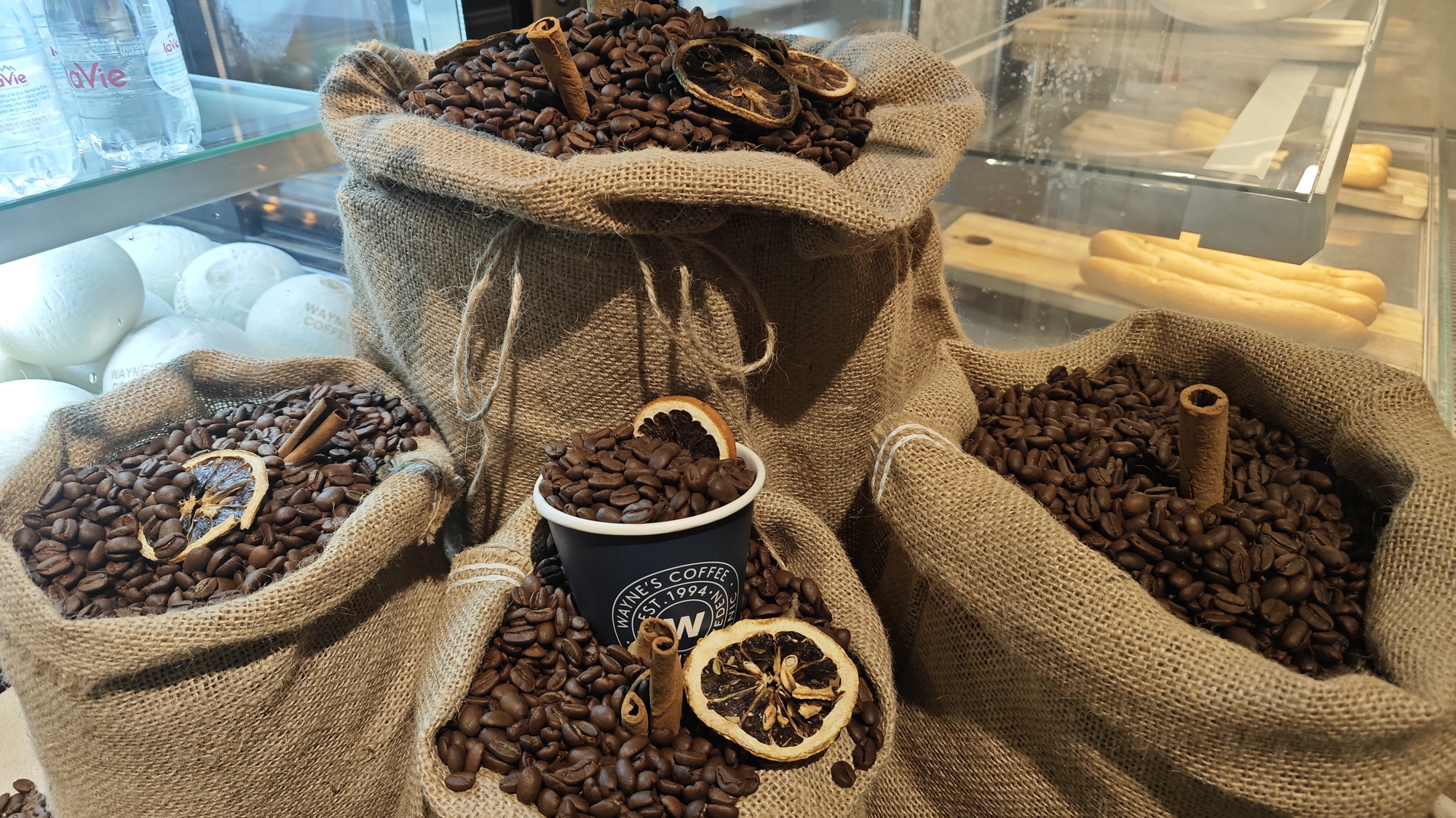 Giá cà phê hôm nay 4-1: Việt Nam là nguồn cung cà phê thứ 3 cho Mỹ - Ảnh 1