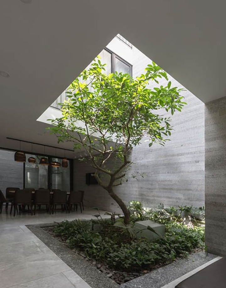 Những mẫu giếng trời độc đáo cho nhà phố - Ảnh 1