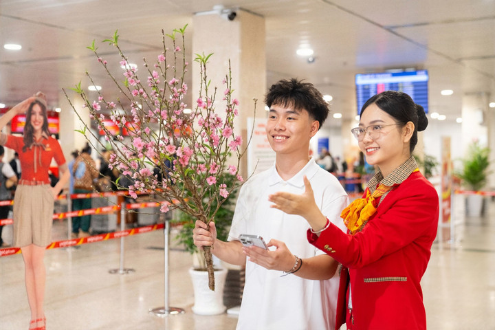 Muốn mai, đào Tết 'đi máy bay', khách hàng phải chi bao nhiêu? - Ảnh 1