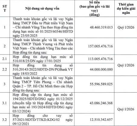 Hodeco điều chỉnh phương án sử dụng vốn từ phát hành trái phiếu chuyển đổi - Ảnh 1