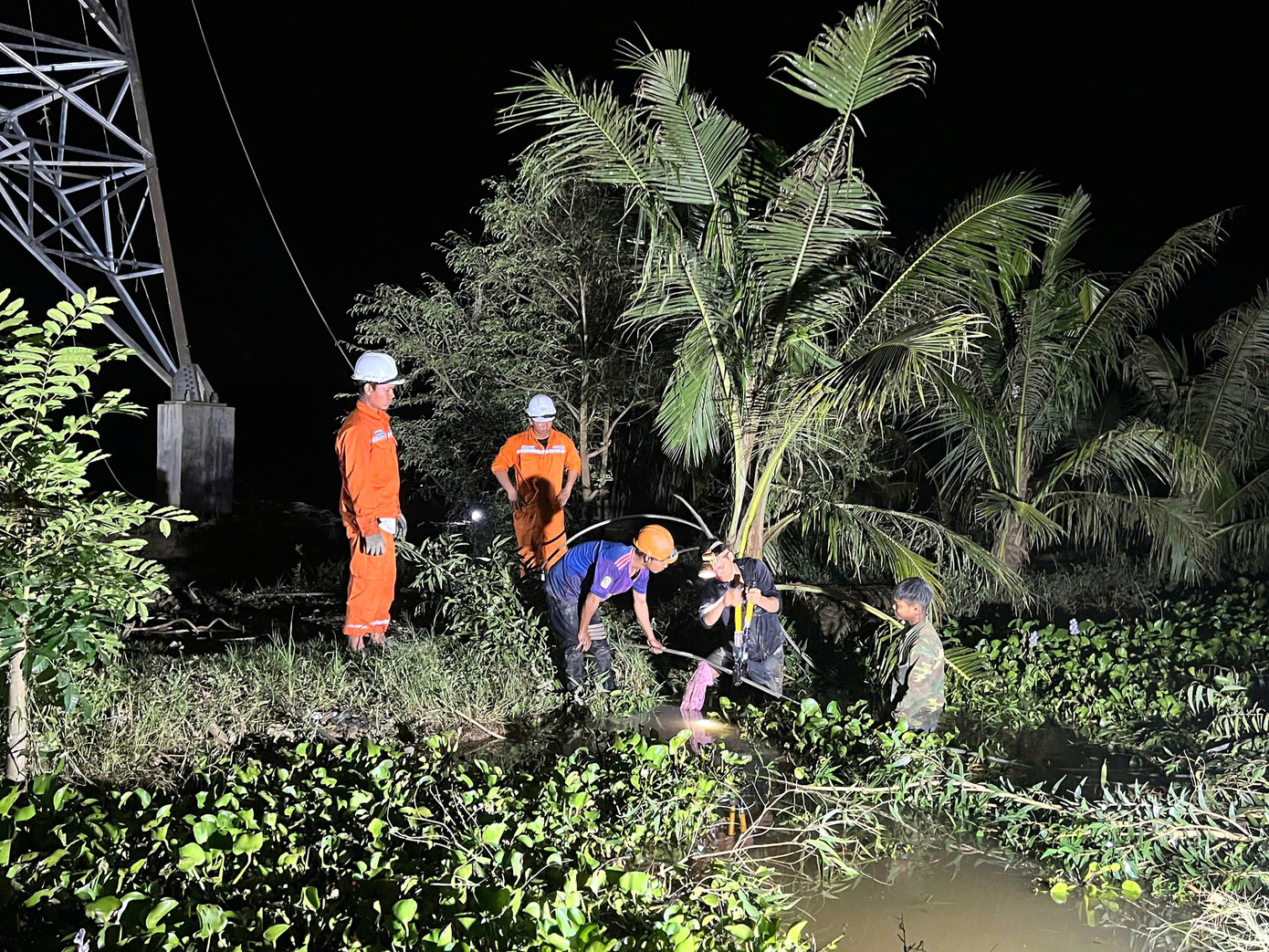 Về đích công trình đường dây 110kV Trần Đề - Trạm 220kV Sóc Trăng tại Cần Thơ - Ảnh 2