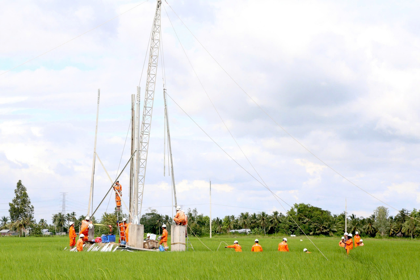 Về đích công trình đường dây 110kV Trần Đề - Trạm 220kV Sóc Trăng tại Cần Thơ - Ảnh 3