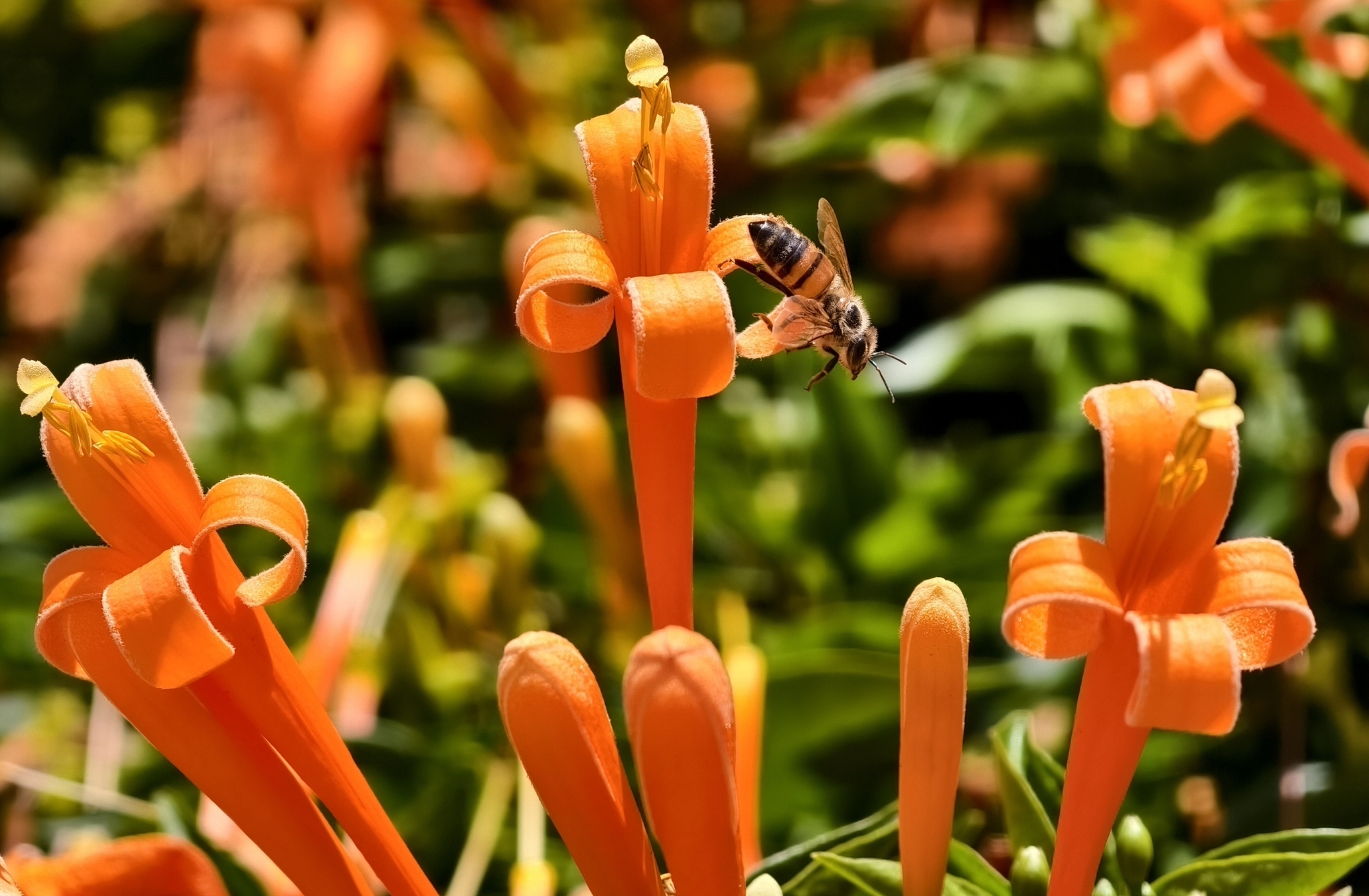 Căn nhà đang "nổi như cồn" ở Lâm Đồng - Ảnh 11