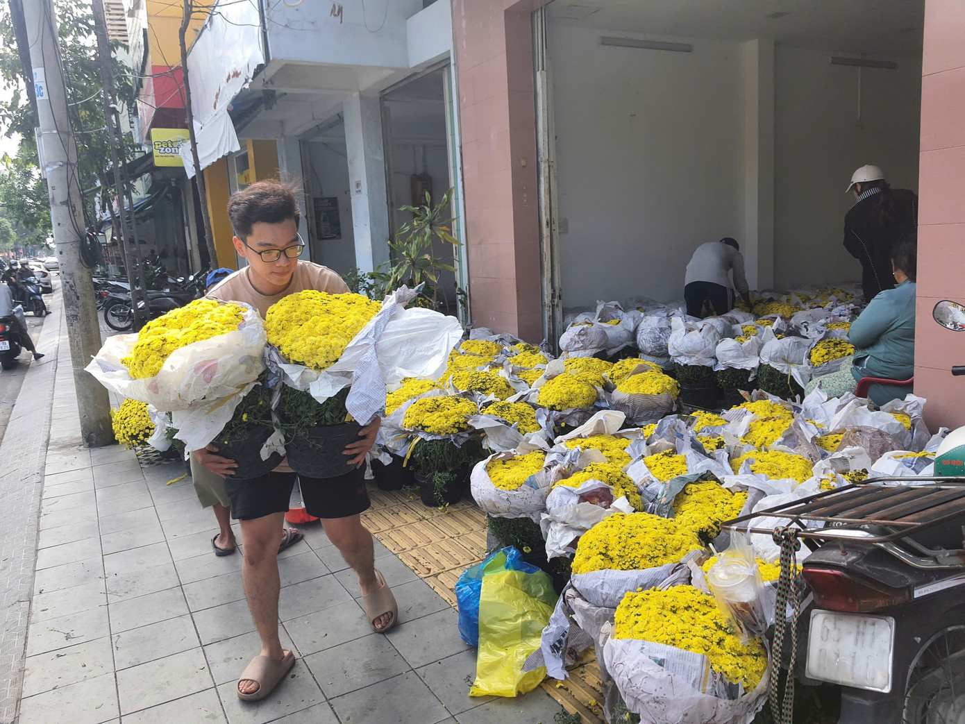 Hoa cúc bán Tết nở sớm bị thương lái ép giá, người dân vào cuộc hỗ trợ - Ảnh 4